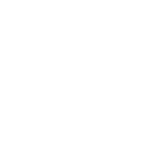 logo_V